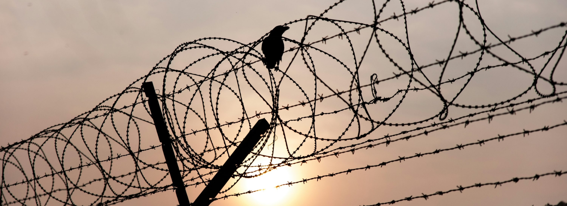 Barbed Wire Fencing